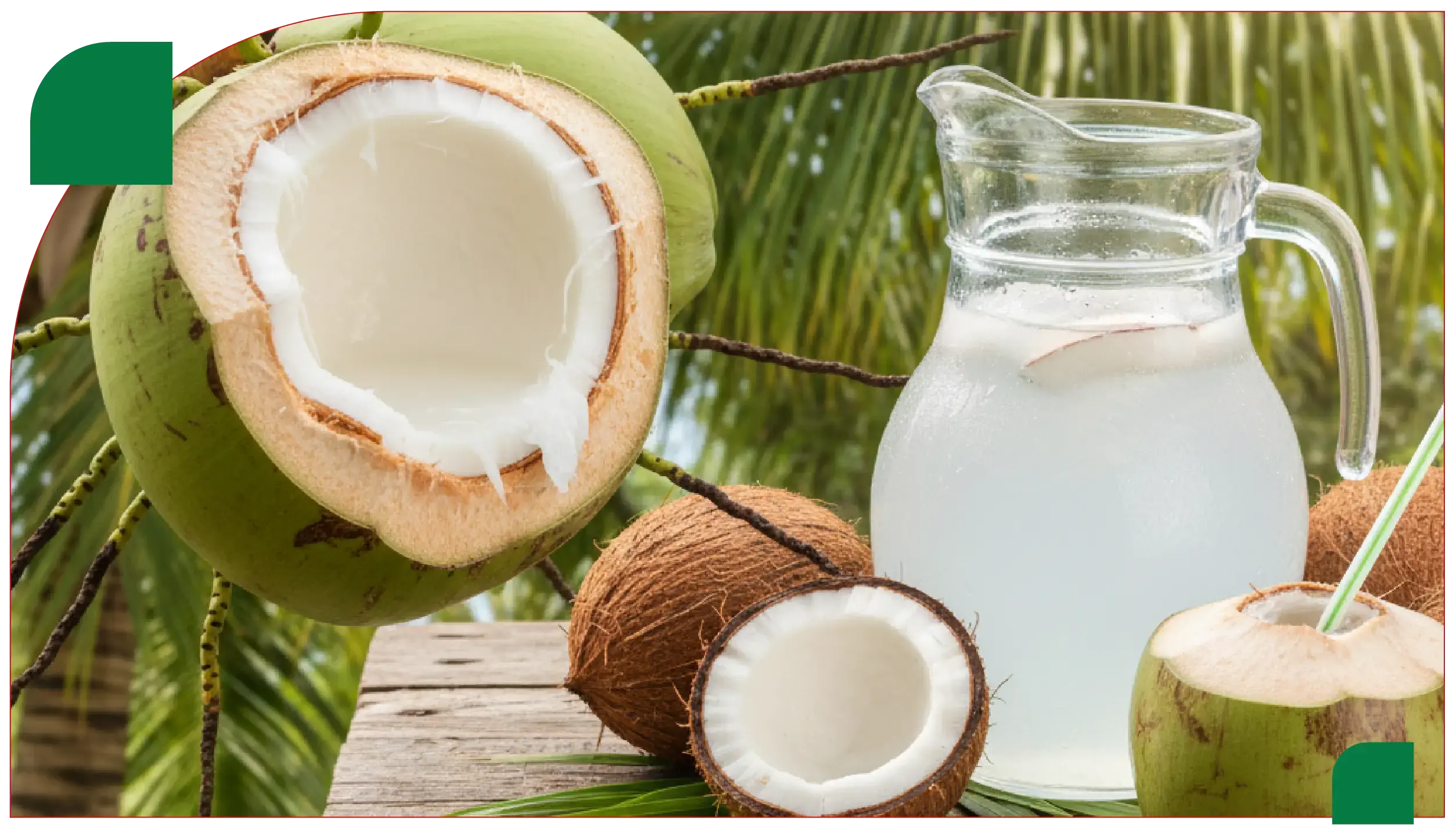 The Origins and Composition of Coconut Juice